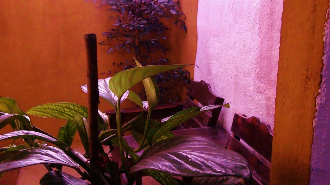 Hotel La Tora Managua Zimmer foto