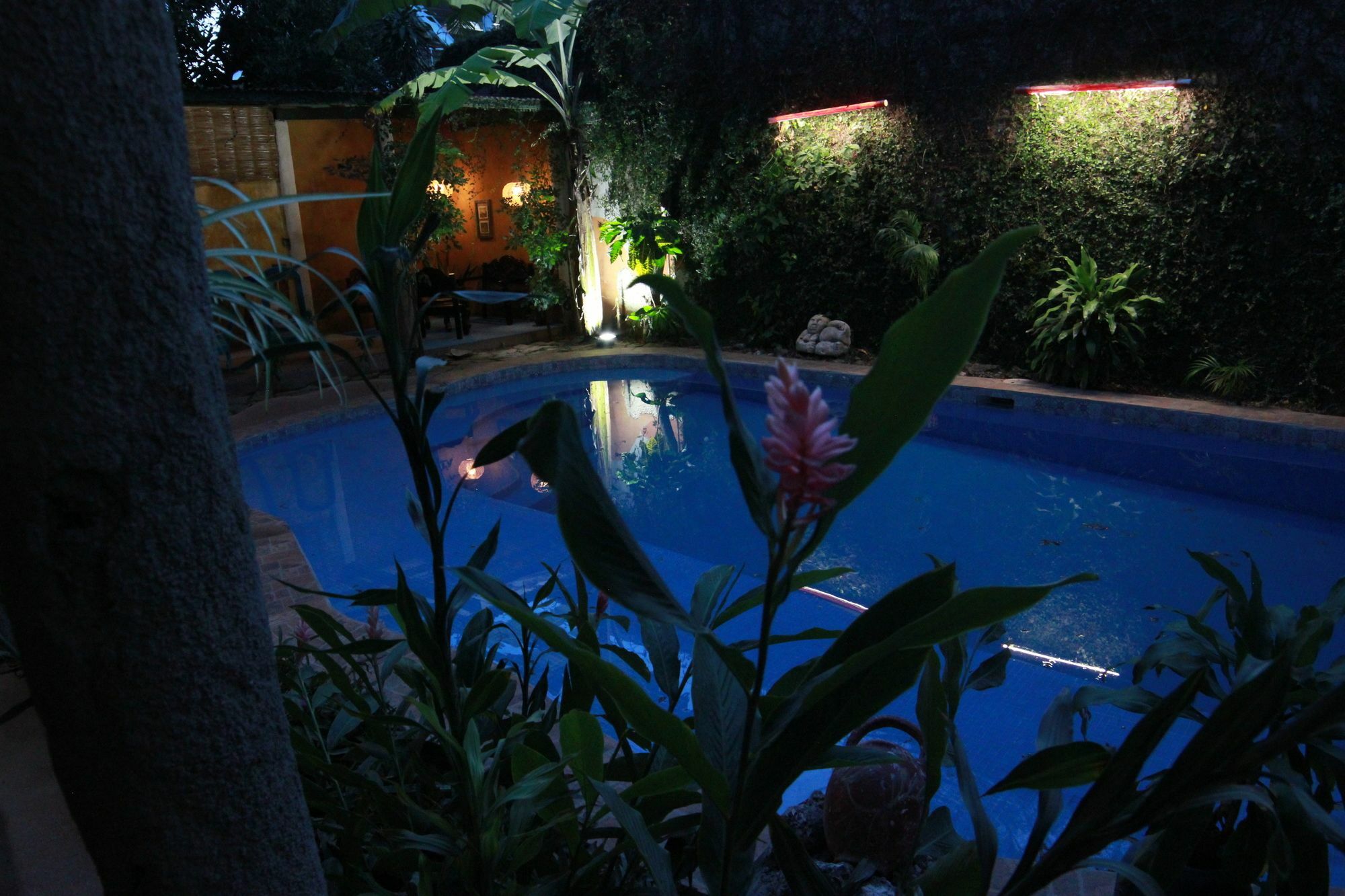 Hotel La Tora Managua Exterior foto